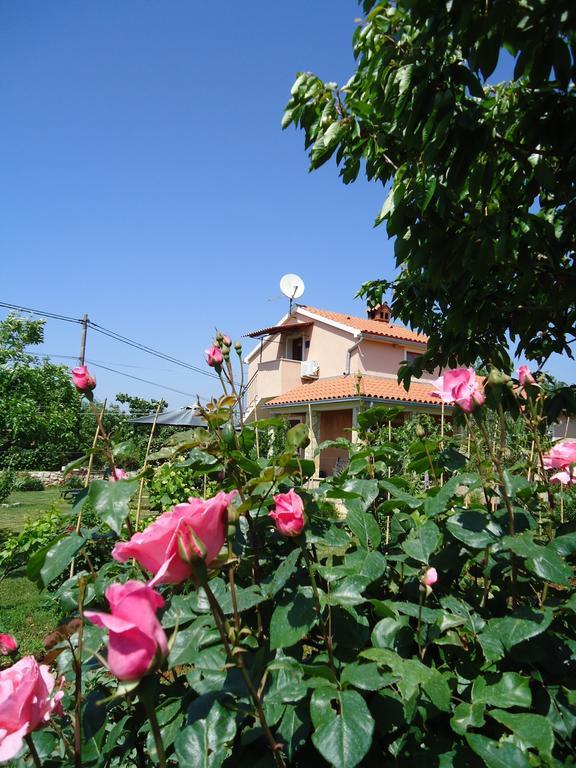 Studio Apartment Nera Rovinj Room photo